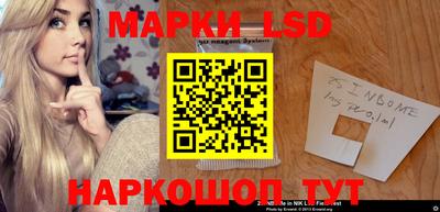 индика Будённовск