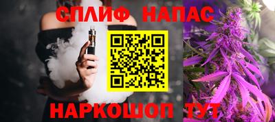 индика Будённовск