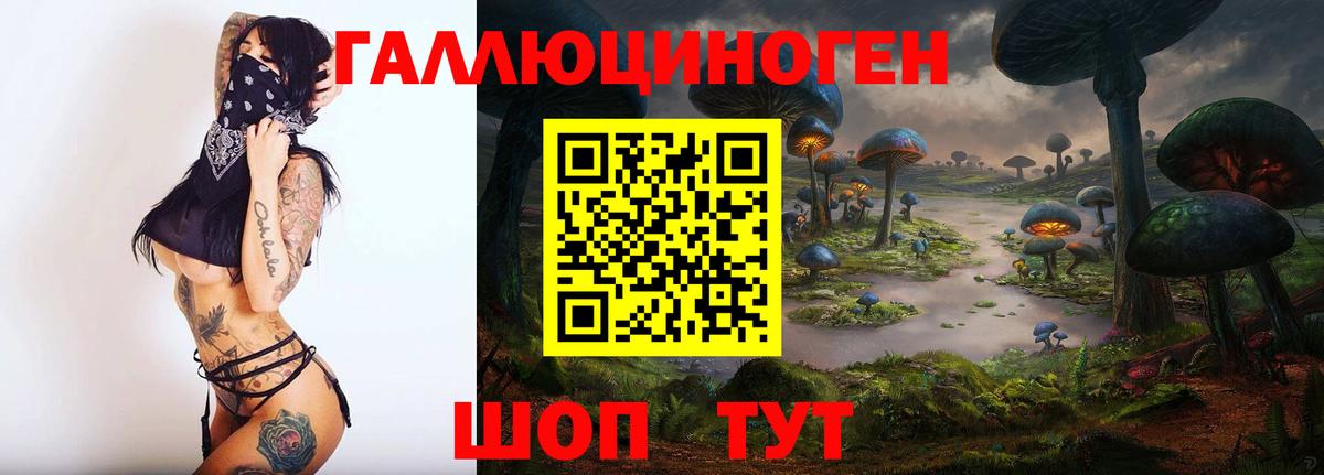 Псилоцибиновые грибы мицелий Лобня